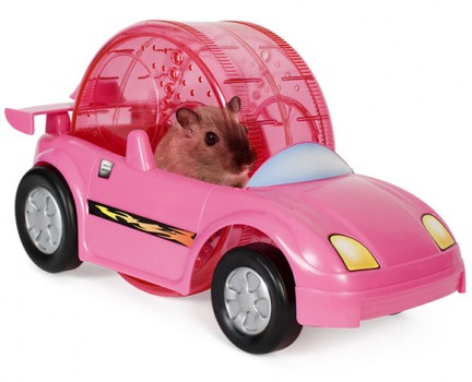 criceto auto rosa