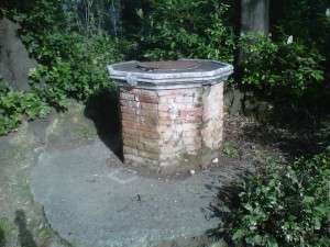 IMG-20130215-00848